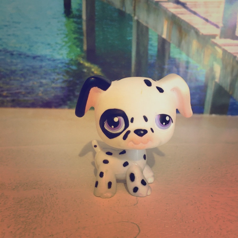 Lps rare purple eyed Dalmatian